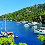 CarrefourSAdan Deniz Hayatini Korumaya Destek