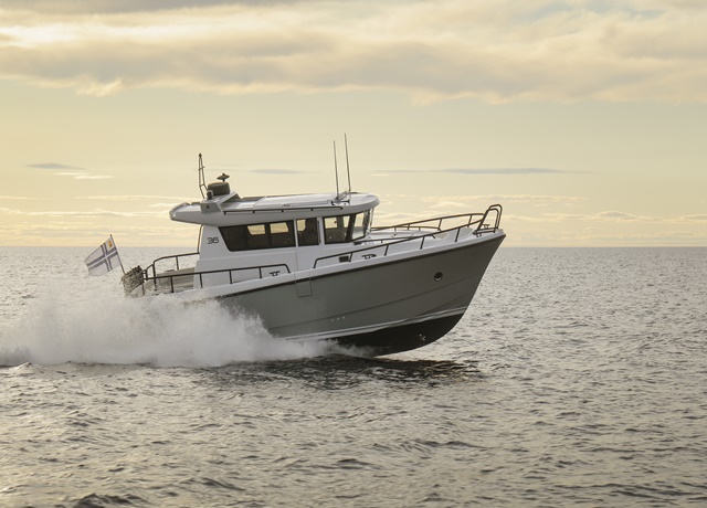 sargo 36 dis tasarim 1
