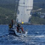 bravo sailing yelken