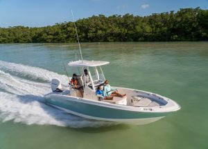 Boston Whaler 250 Dauntless ozellikleri 300x216 1