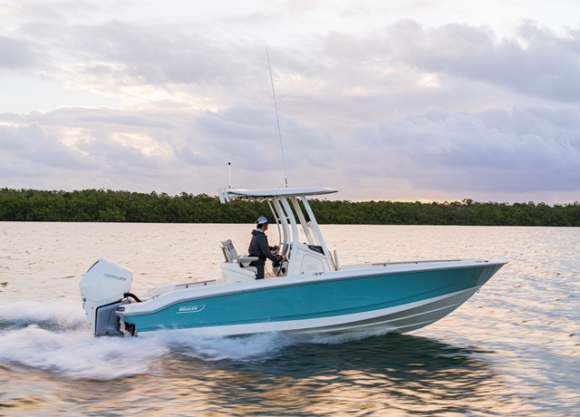 Boston Whaler 250 Dauntless gorselleri