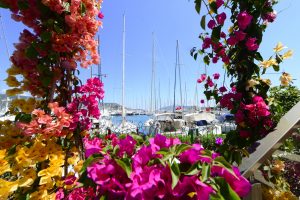 milta bodrum turkiye marinalari 300x200 1