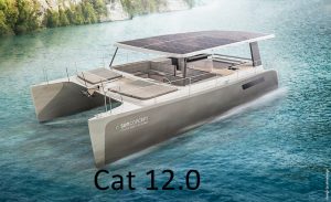 cat 12.0 1 300x183 1