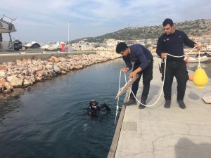 cesme marina deniz canlilari koruma projesi 300x225 1