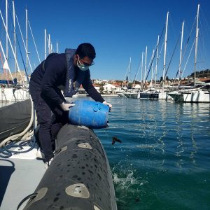 deniz patlicanlarini korunma projesi 300x300 1