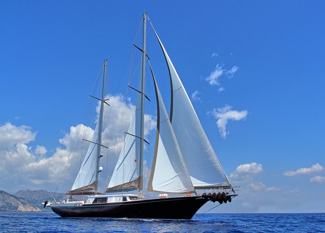 sy moss 40