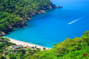 KABAK KOYU 300x200 1