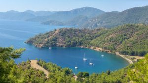 kille koyu gocek 300x169 1