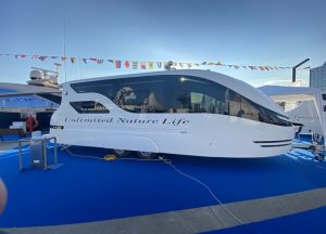 sealions dis tasarimi yuzen karavan 300x216 1