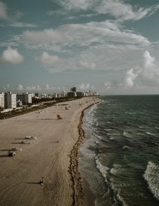 Florida 232x300 1