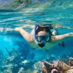 Snorkeling