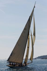 Yelken Tercihleri